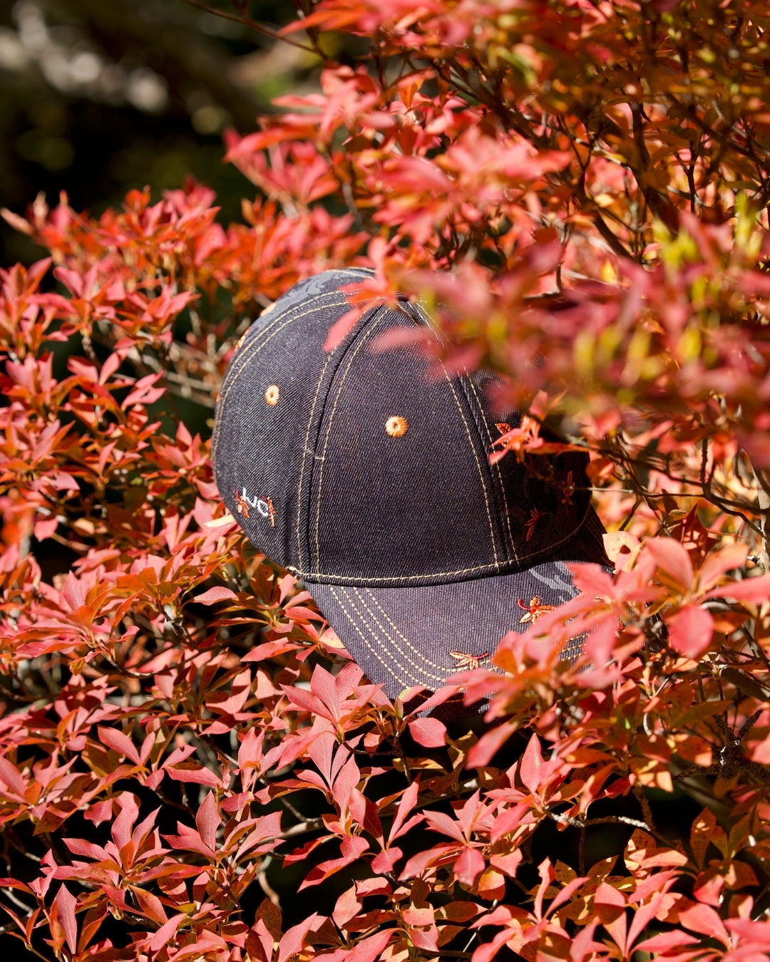 Casquette Momiji - Denim [Concours - 2 Participations]